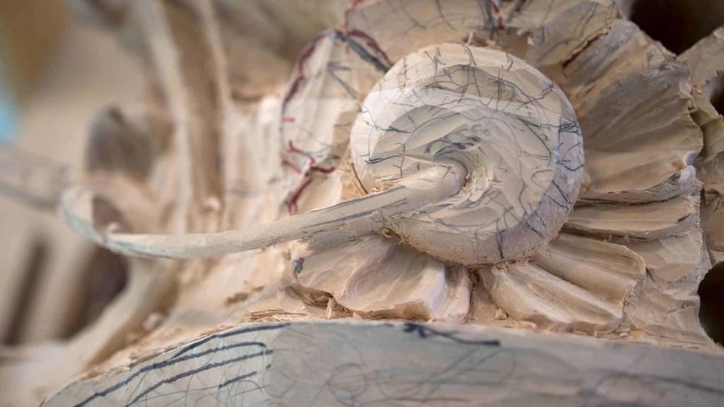School of Woodcarving online | Learn to carve like in Grinling Gibbons Style https://schoolofwoodcarving.io #woodcarving #woodworking @grabovetskiy